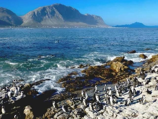 4 Bedroom Property for Sale in Bettys Bay Western Cape